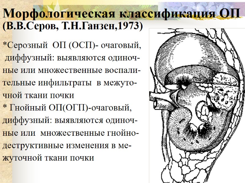 Морфологическая классификация ОП  (В.В.Серов, Т.Н.Ганзен,1973)   *Серозный  ОП (ОСП)- очаговый, 